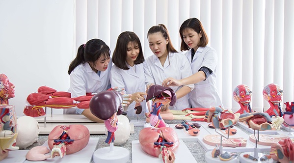 Học ngành Điều dưỡng để có cơ hội việc là hấp dẫn Học ngành Điều dưỡng để có cơ hội việc là hấp dẫn