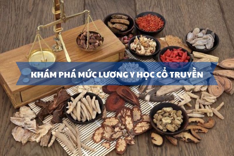 Mức lương ngành Y học cổ truyền